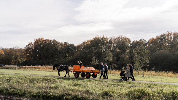 'Joris was gestopt met eten en drinken, hij wilde rust en verlangde naar de dood'