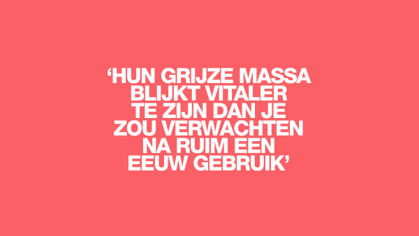 'Hij is stokoud, 101, maar hoe de tijd zijn lijf ook heeft gehavend, z'n denkvermogen is onaangetast'