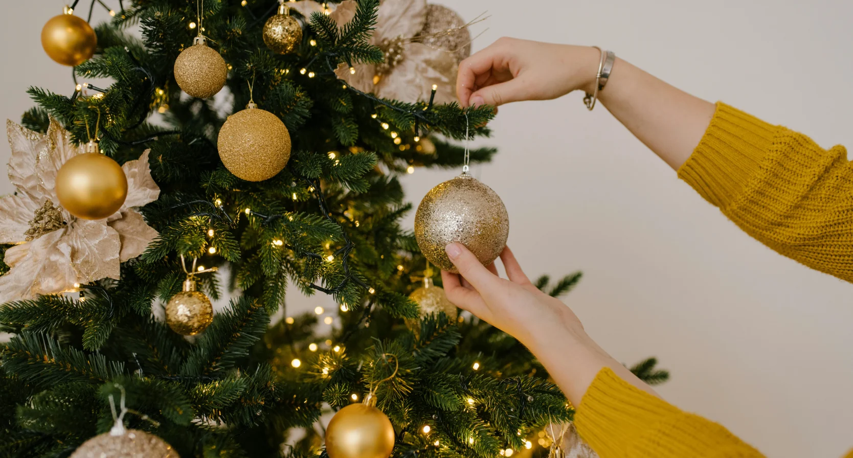 prijsverschil, kerstbomen