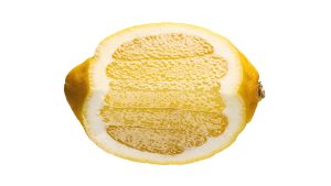 Thumbnail voor Grote kans dat jij je gin-tonic verkeerd bereidt, en zo moet het wél (volgens de expert)