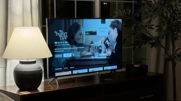 netflix streamen verwijderd