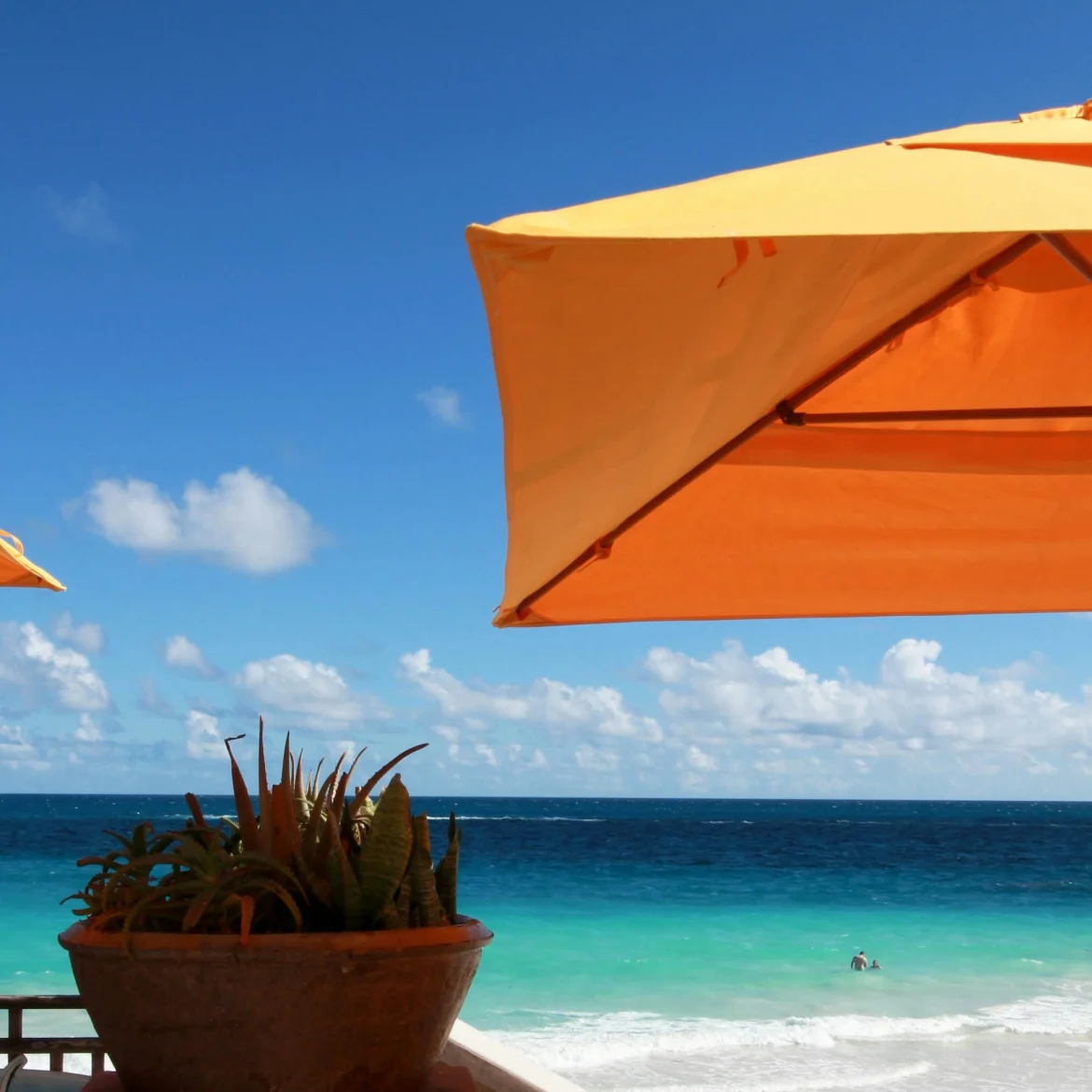 vakantiebestemming-2026