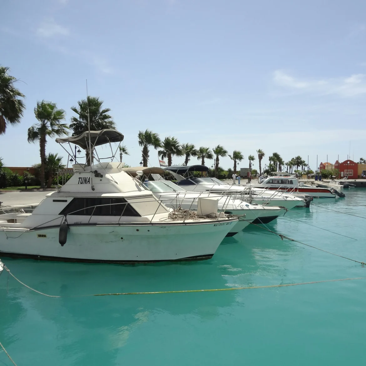 Haven Hurghada | Nederlander gedood in Hurghada