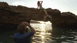 Het Perfecte Plaatje 2025