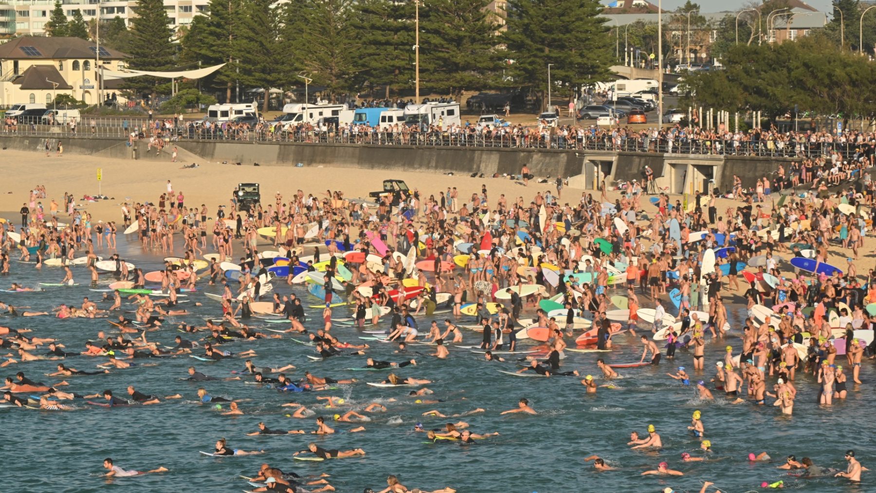 Surfers en zwemmers verzamelen op Bondi Beach voor een prachtig eerbetoon