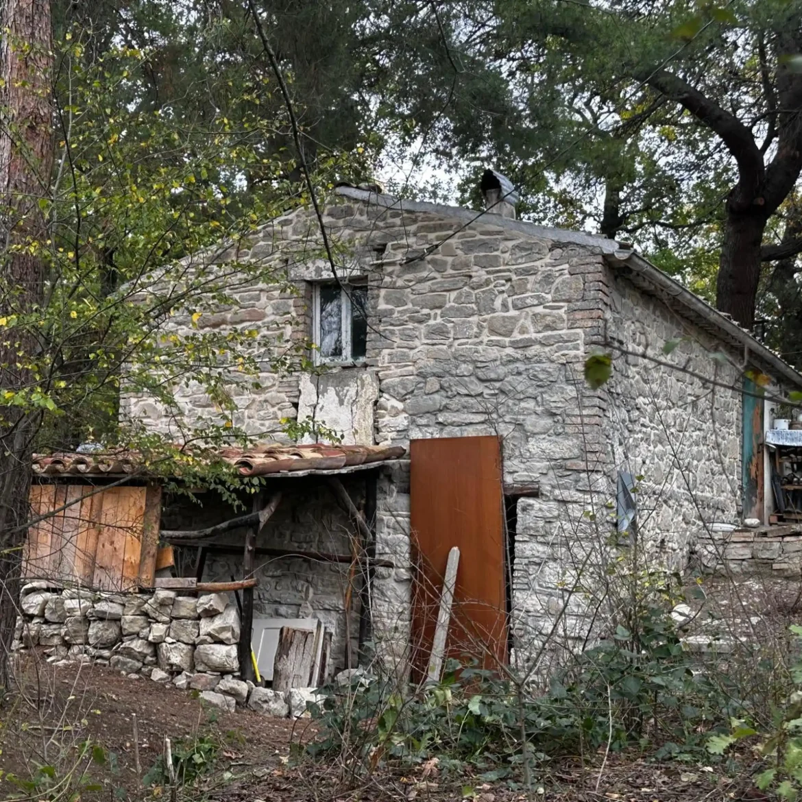 Gezin leefde in totale afzondering in bossen