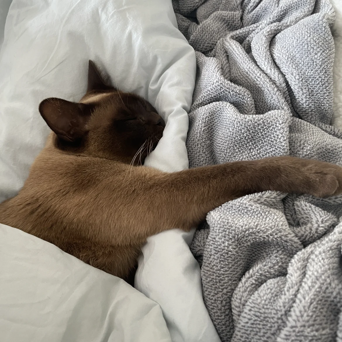 Urenlang uitslapen: is dat eigenlijk wel goed voor je?