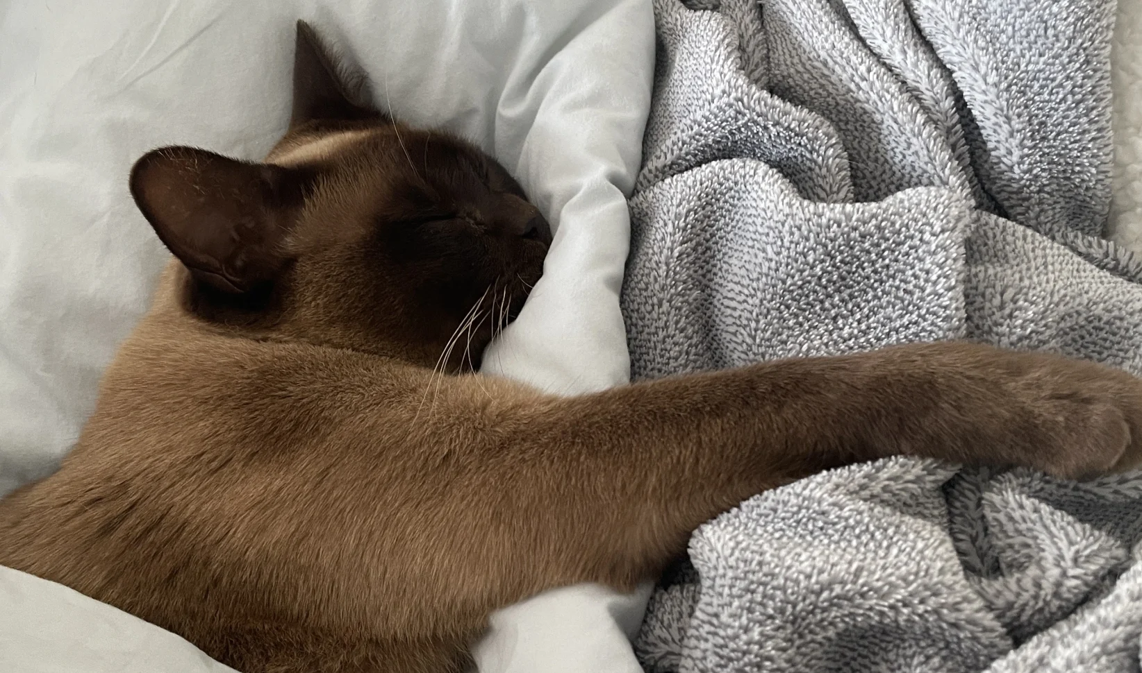 Urenlang uitslapen: is dat eigenlijk wel goed voor je?