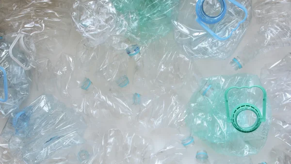 Afval scheiden? Dit mag vanaf 1 januari allemaal bij het PMD