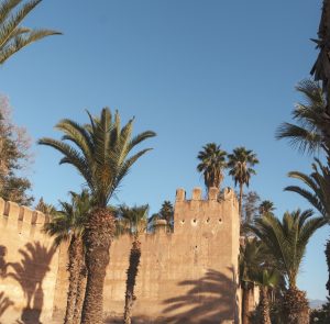 Thumbnail voor Op deze 7 bestemmingen is het warm in januari (en sommige zijn maar een paar uurtjes vliegen)