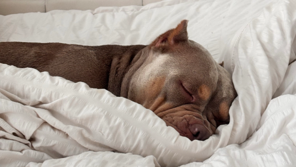 tips in slaap vallen