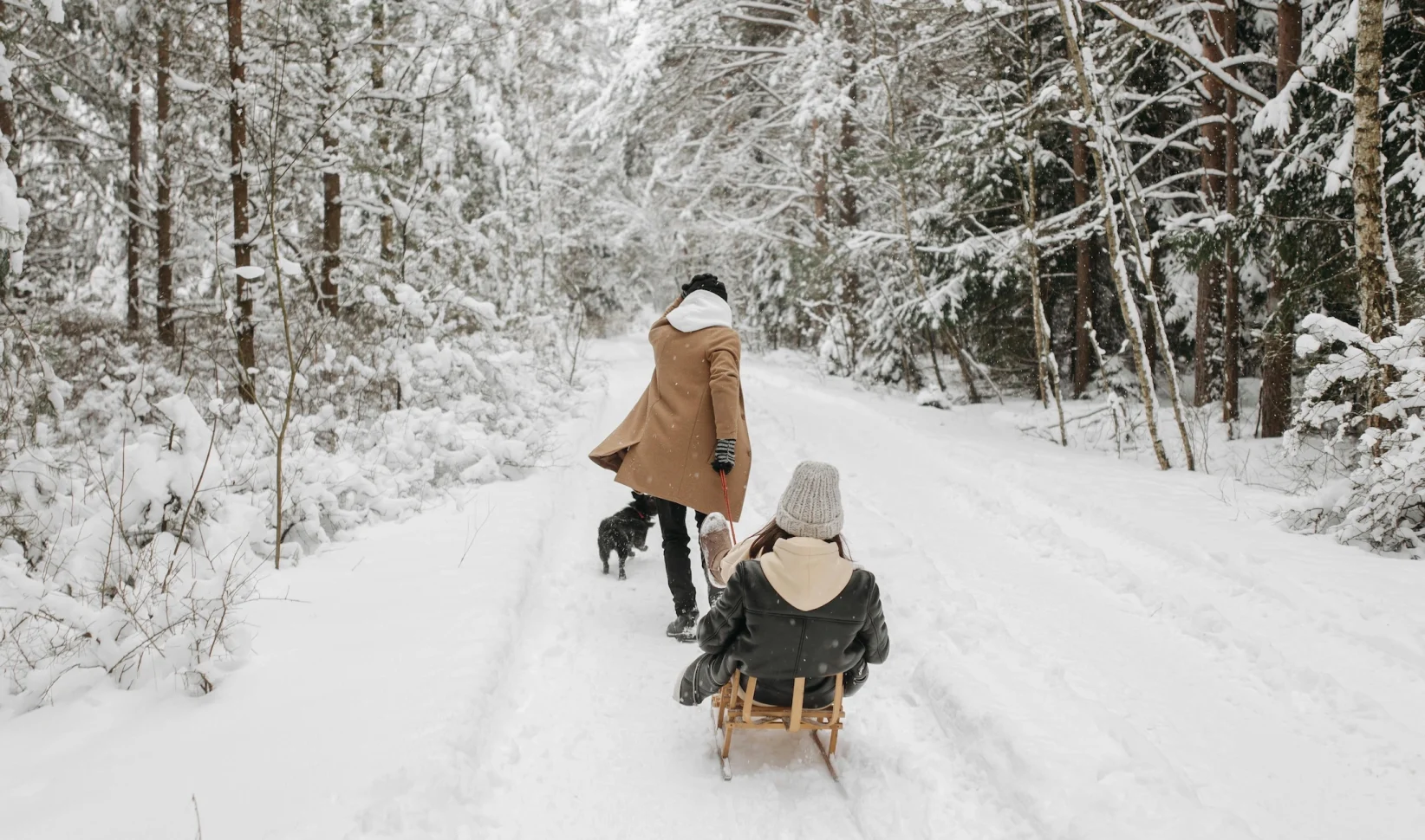 Het laatste nieuws over de sneeuw