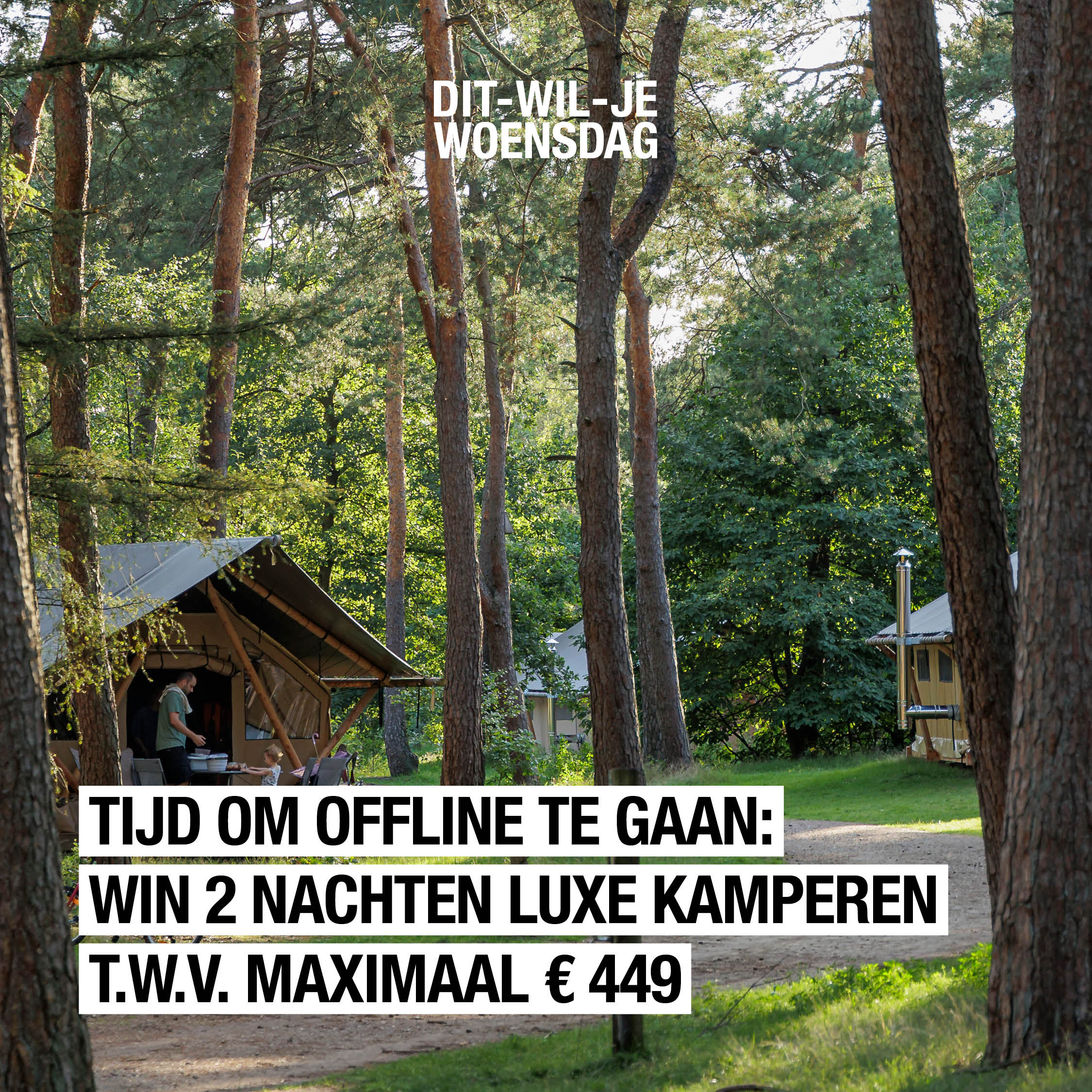 Chill-mode on: win een weekend weg midden in de natuur ter waarde van maximaal 449 (!) euro