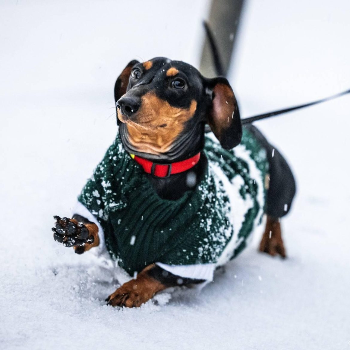 Woensdag code oranje in vrijwel heel Nederland: 'Grote kans op gevaarlijk weer'