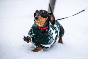 Woensdag code oranje in vrijwel heel Nederland: 'Grote kans op gevaarlijk weer'