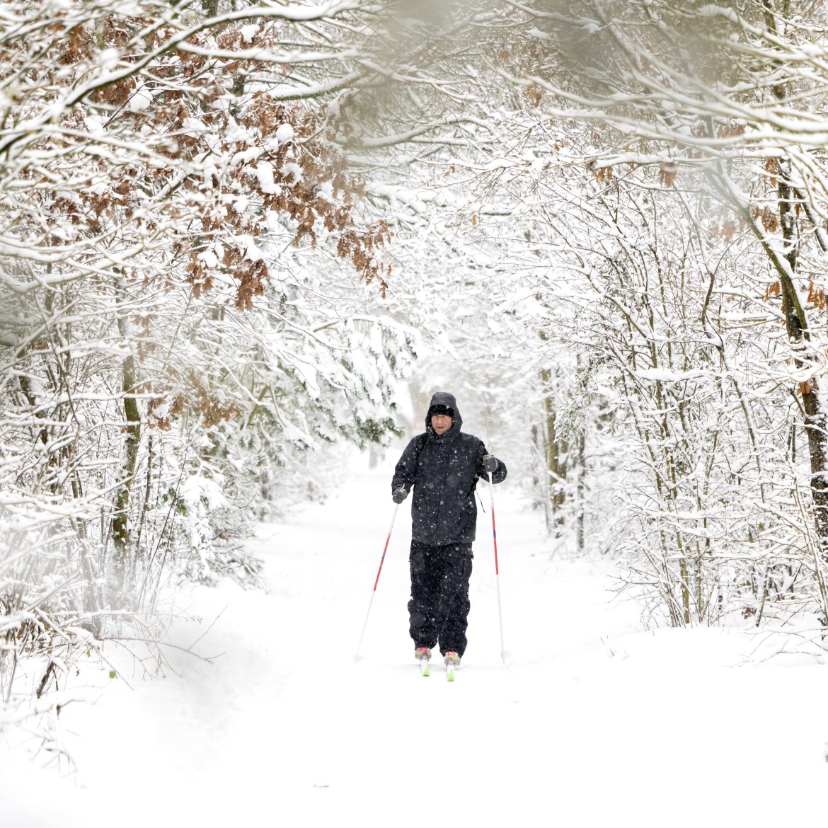 Opletten geblazen: 'krachtige depressie' met flinke lading sneeuw onderweg naar Nederland