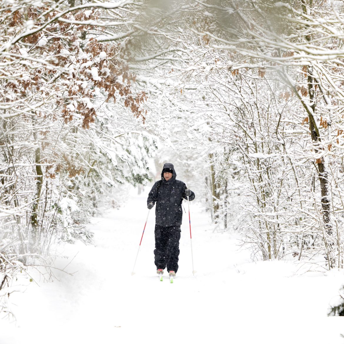 Opletten geblazen: 'krachtige depressie' met flinke lading sneeuw onderweg naar Nederland