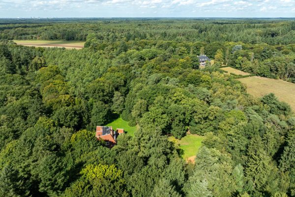 Huis in de bomen