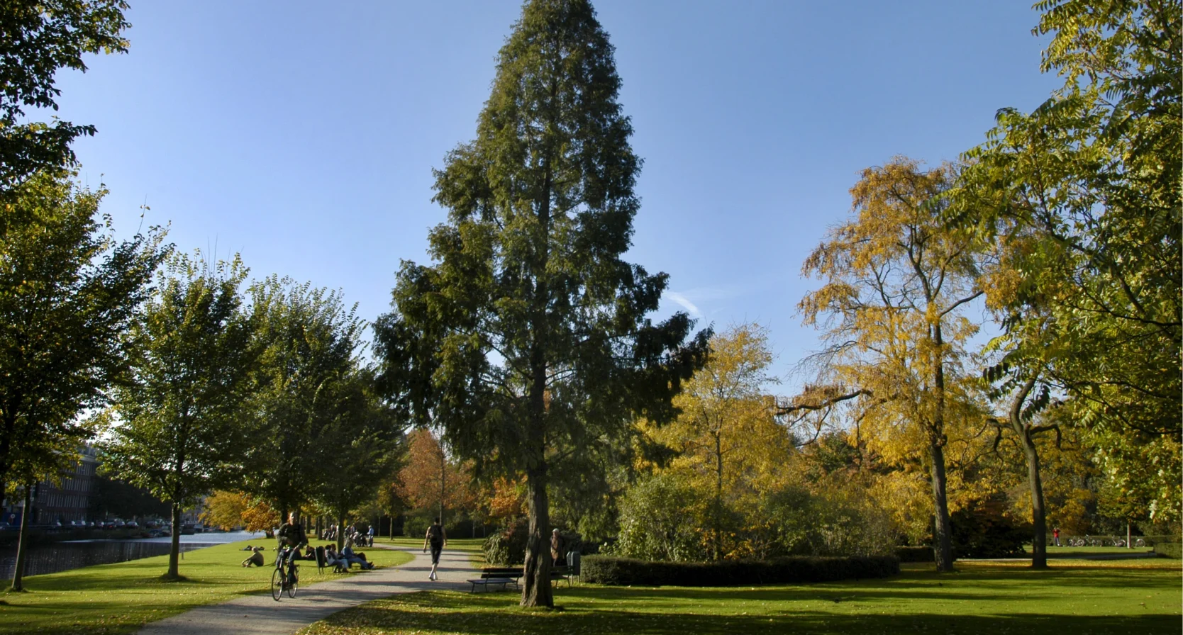 vrouw verkracht vermoord westerpark