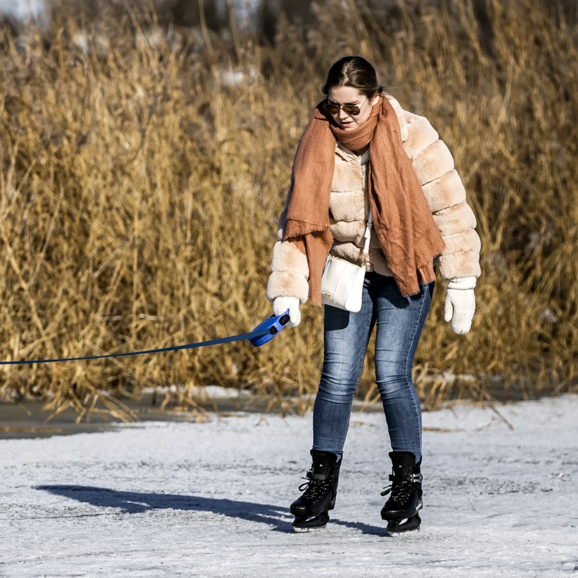 sneeuw, sneeuwpret, hond, vrouw