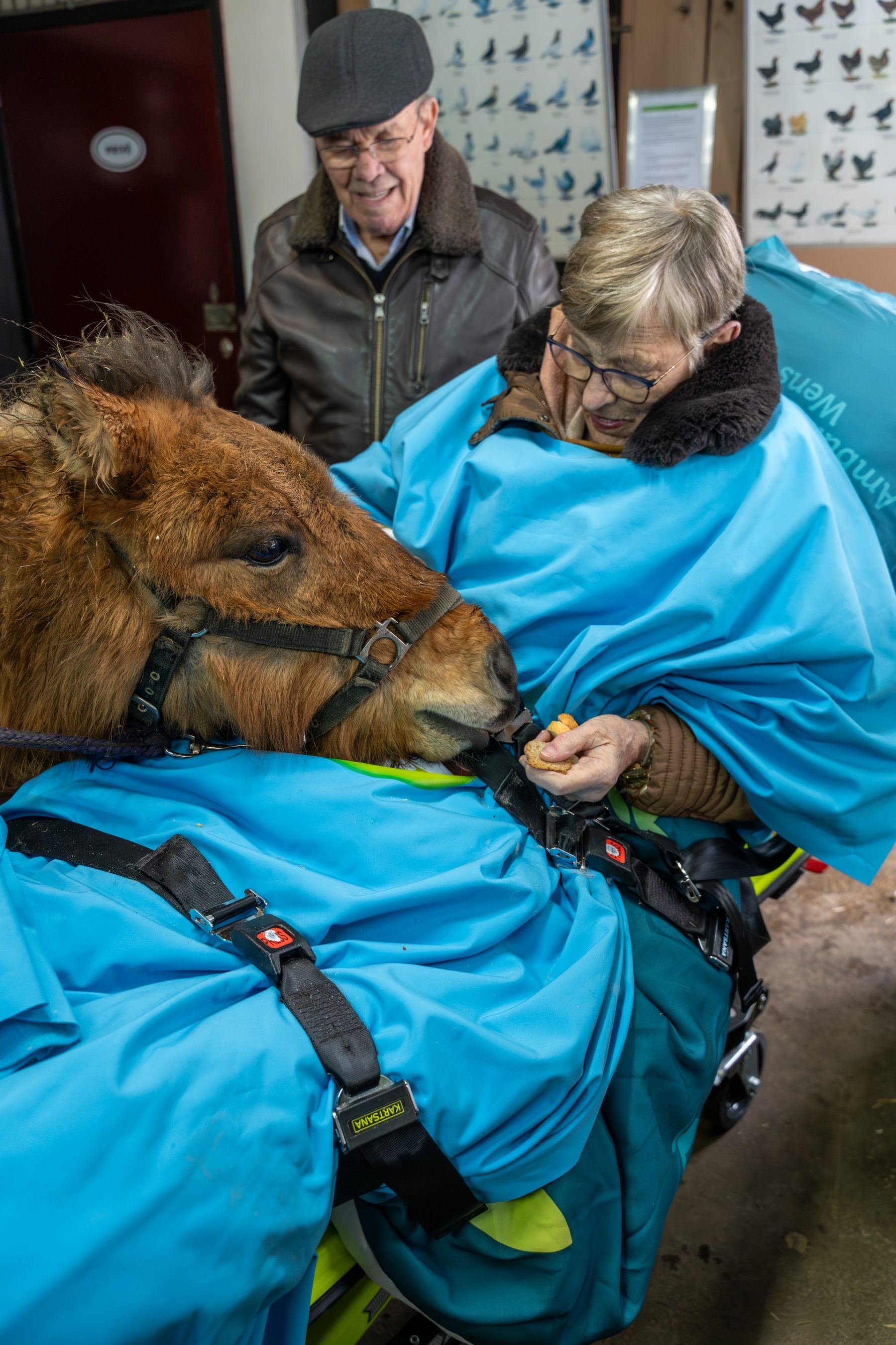 stichting ambulance wens loes