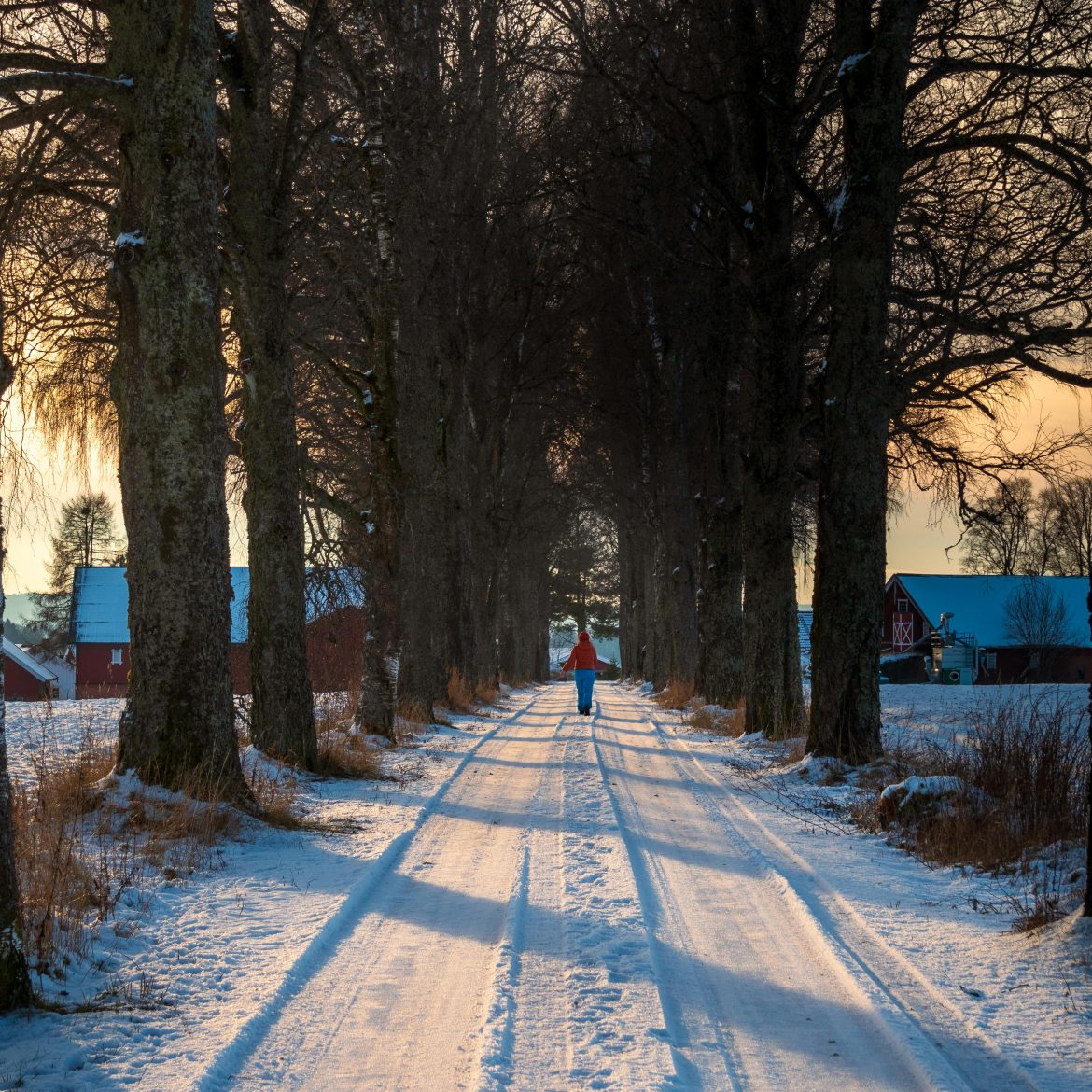 Vrouw in de sneeuw