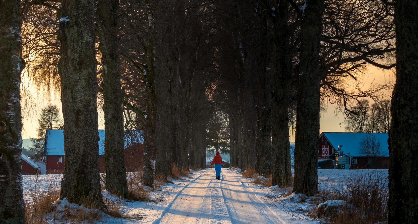 Vrouw in de sneeuw