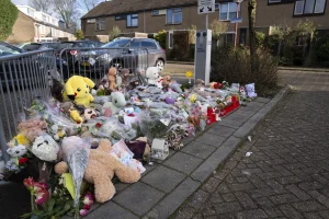 Thumbnail voor OM eist tbs tegen man die 11-jarig meisje doodstak in Nieuwegein