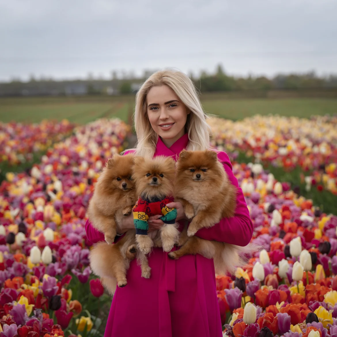 Romy is hondentrimmer