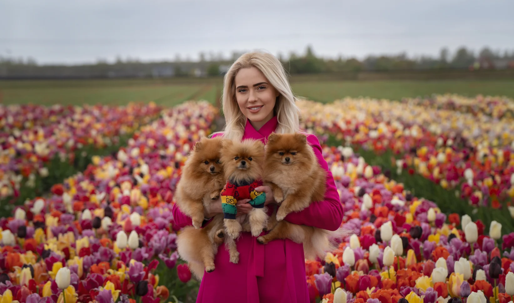 Romy is hondentrimmer