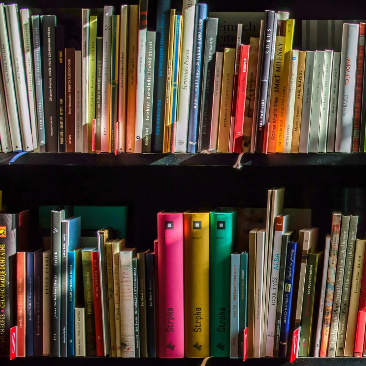 onuitgegeven boeken in Utrecht