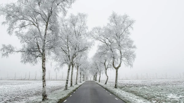 Besneeuwde weg