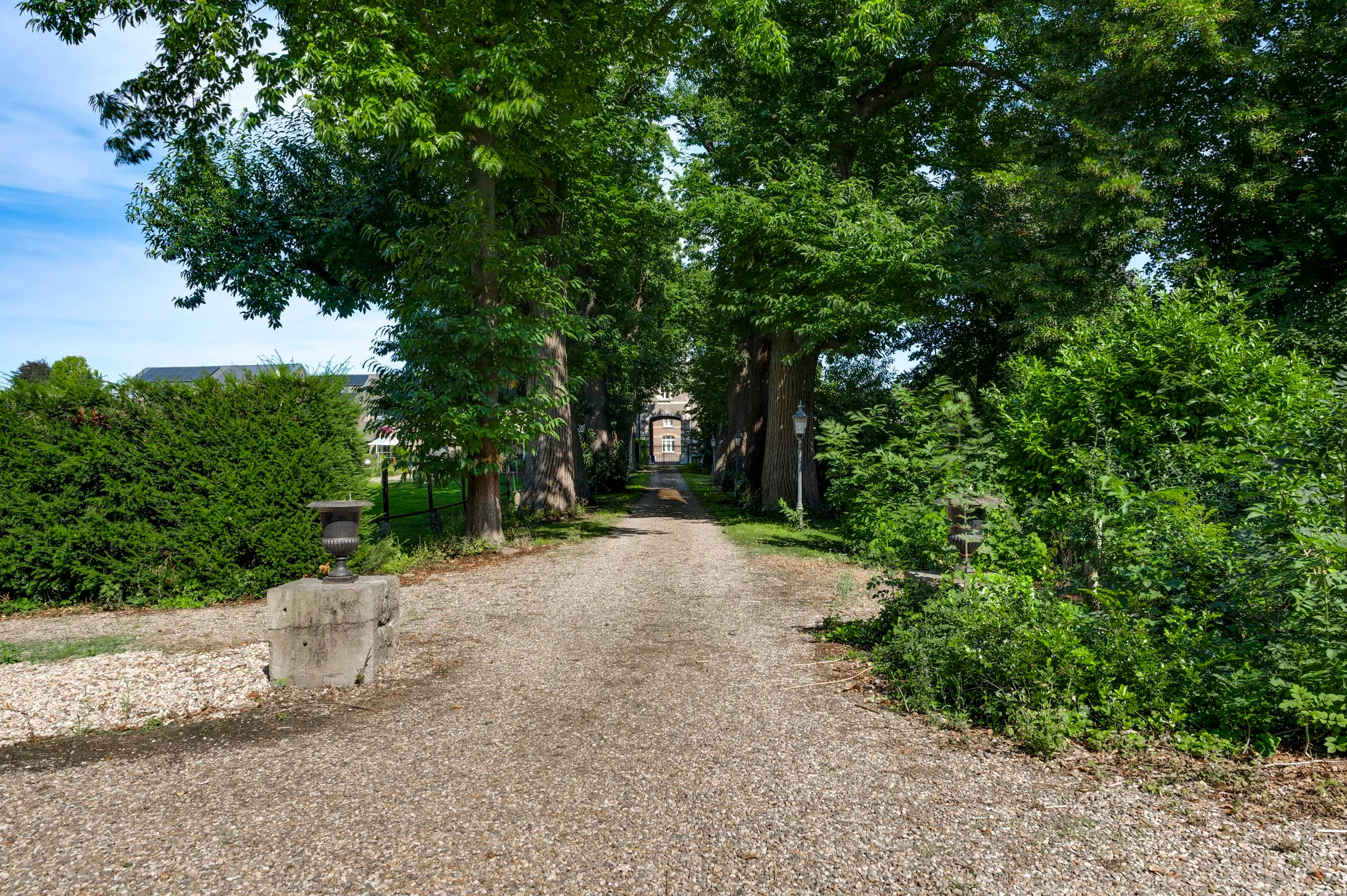 Oprij laan Limburgs kasteel