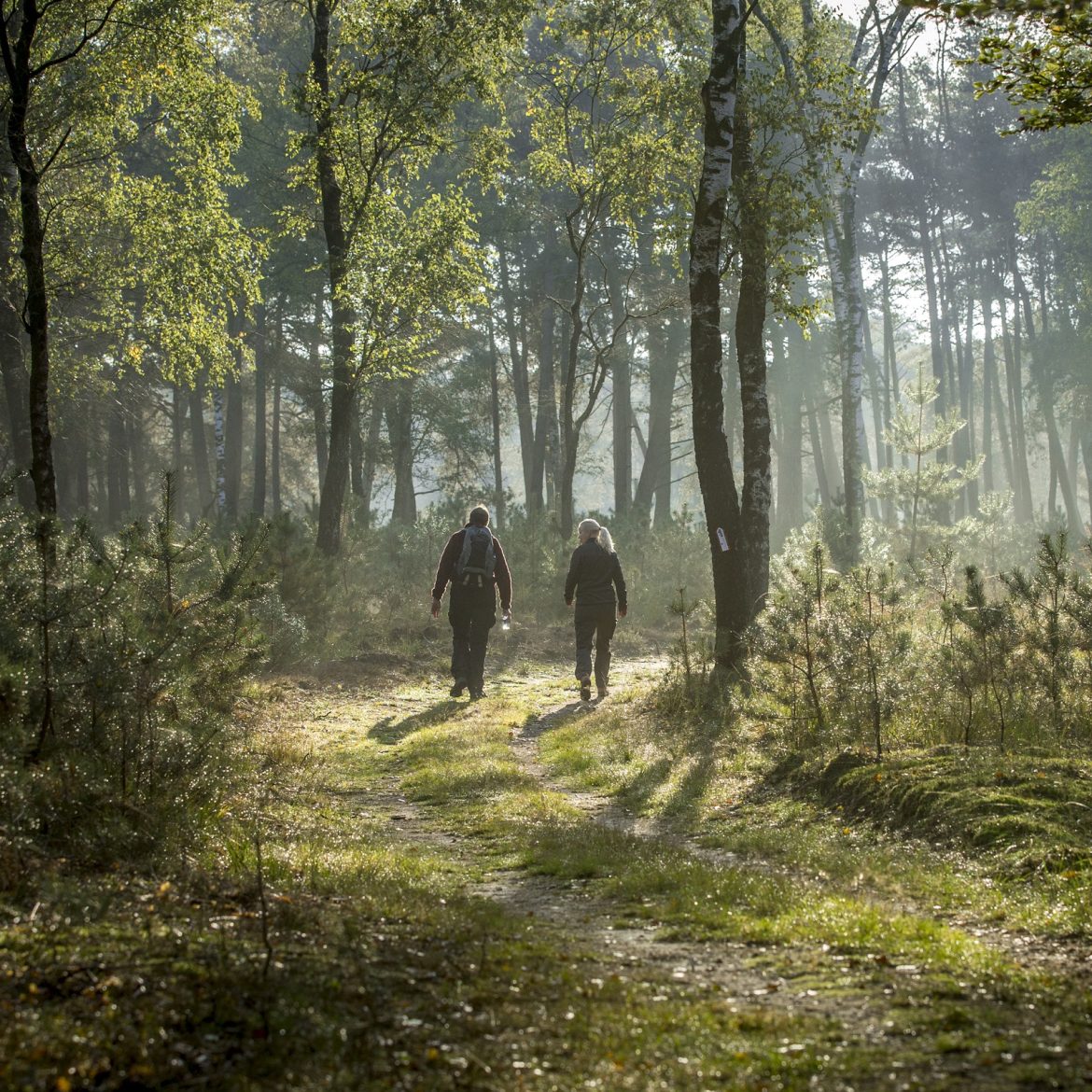 wandelen de veluwe