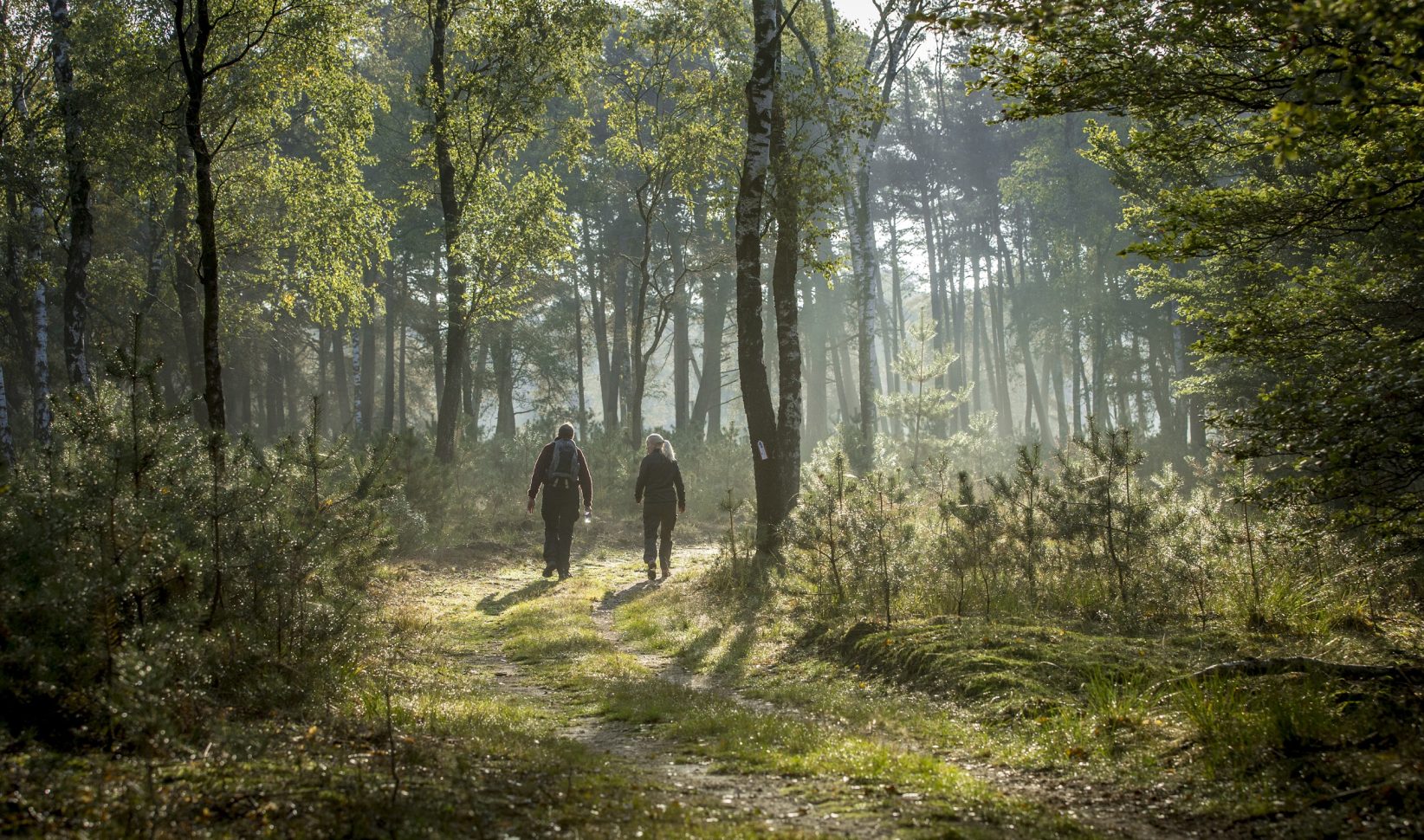 wandelen de veluwe