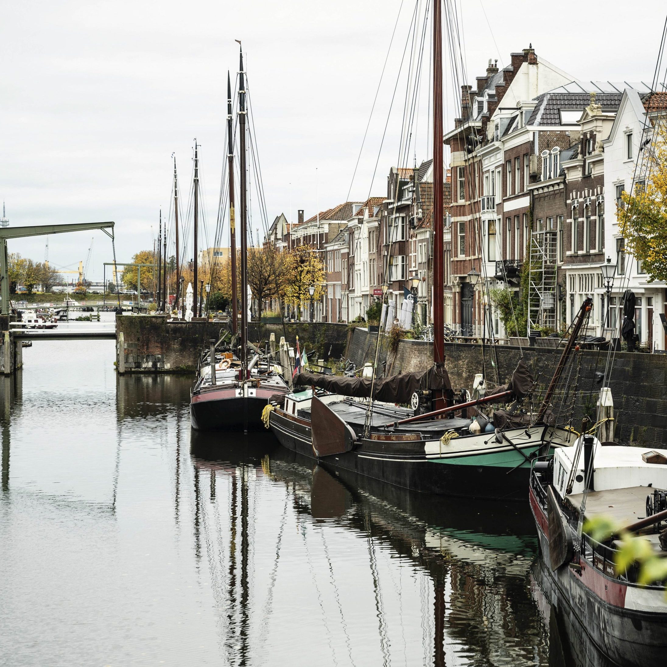 Rotterdam is ruw en eerlijk, met buurten die elk een heel eigen sfeer dragen. Dat vind je nergens anders in Nederland’