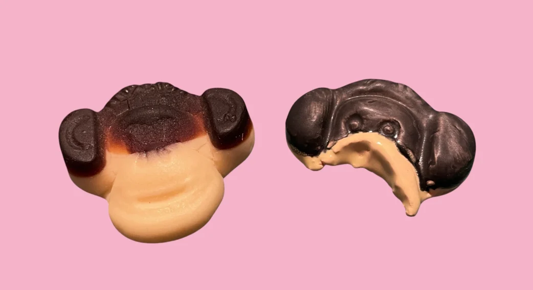 Apenkoppen Jackelien van der Sleen