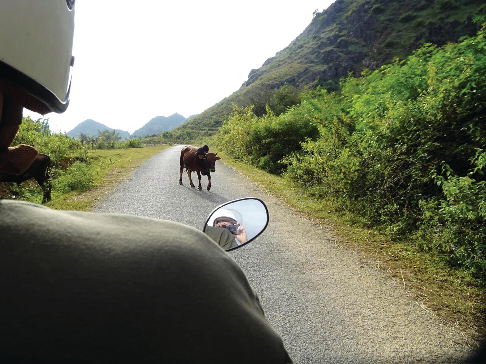 Vakantie-inspo nodig? Deze vijf bestemmingen zijn ideaal voor backpackers