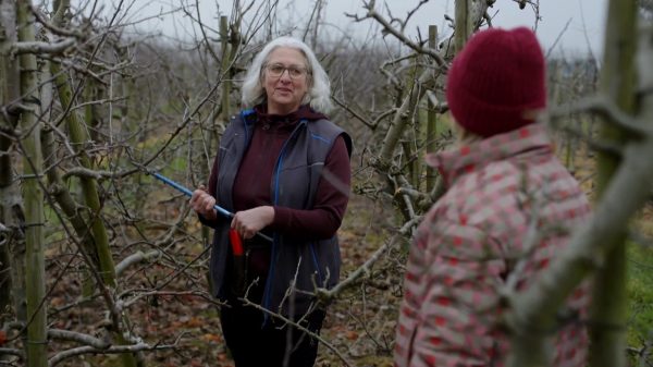 Fruitteler Arianne is op zoek naar nieuwe liefde in 'Boer zoekt Vrouw'