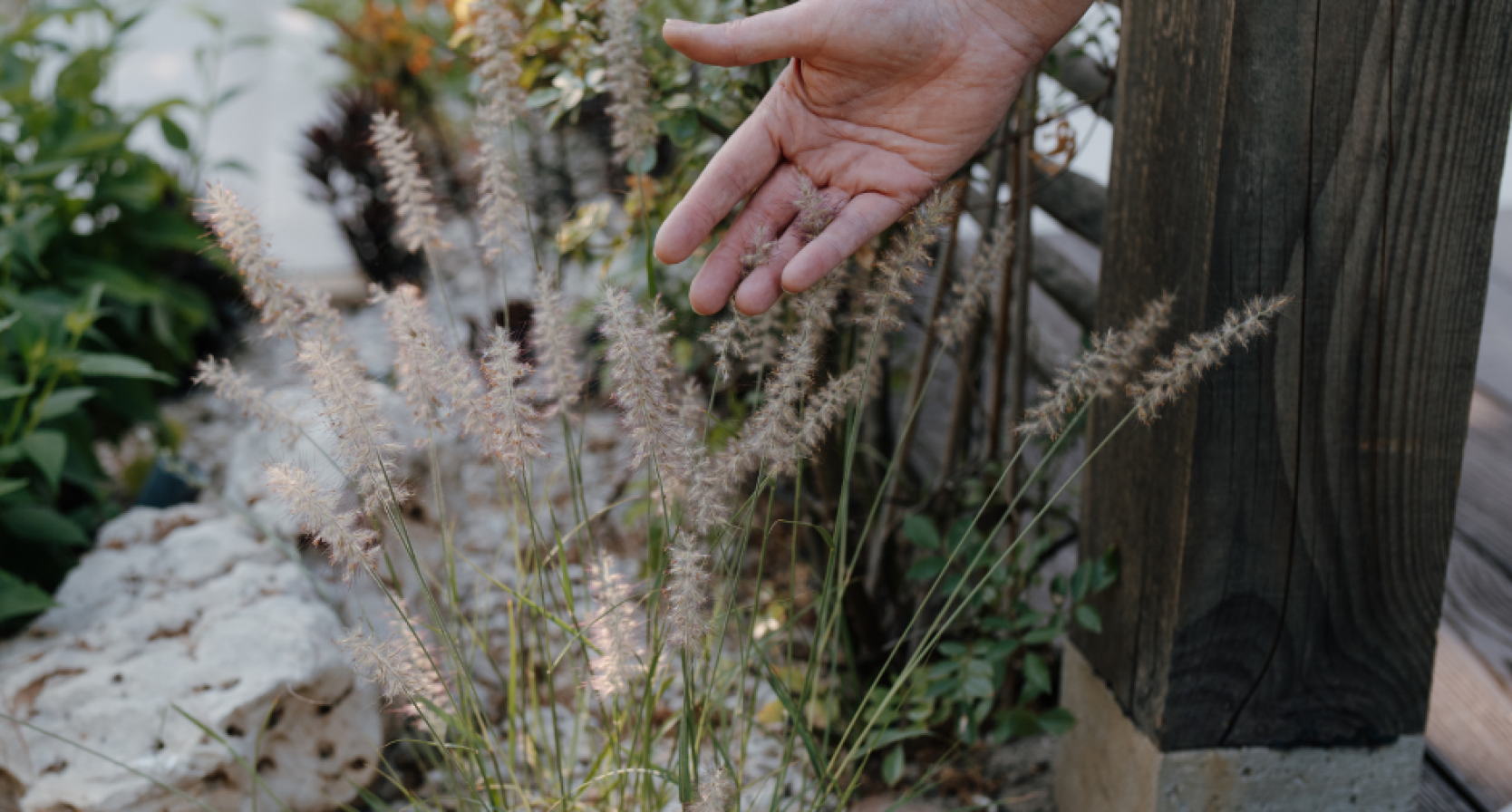 Dé besparingstip voor de tuin: zo krijg je gratis extra bloemen