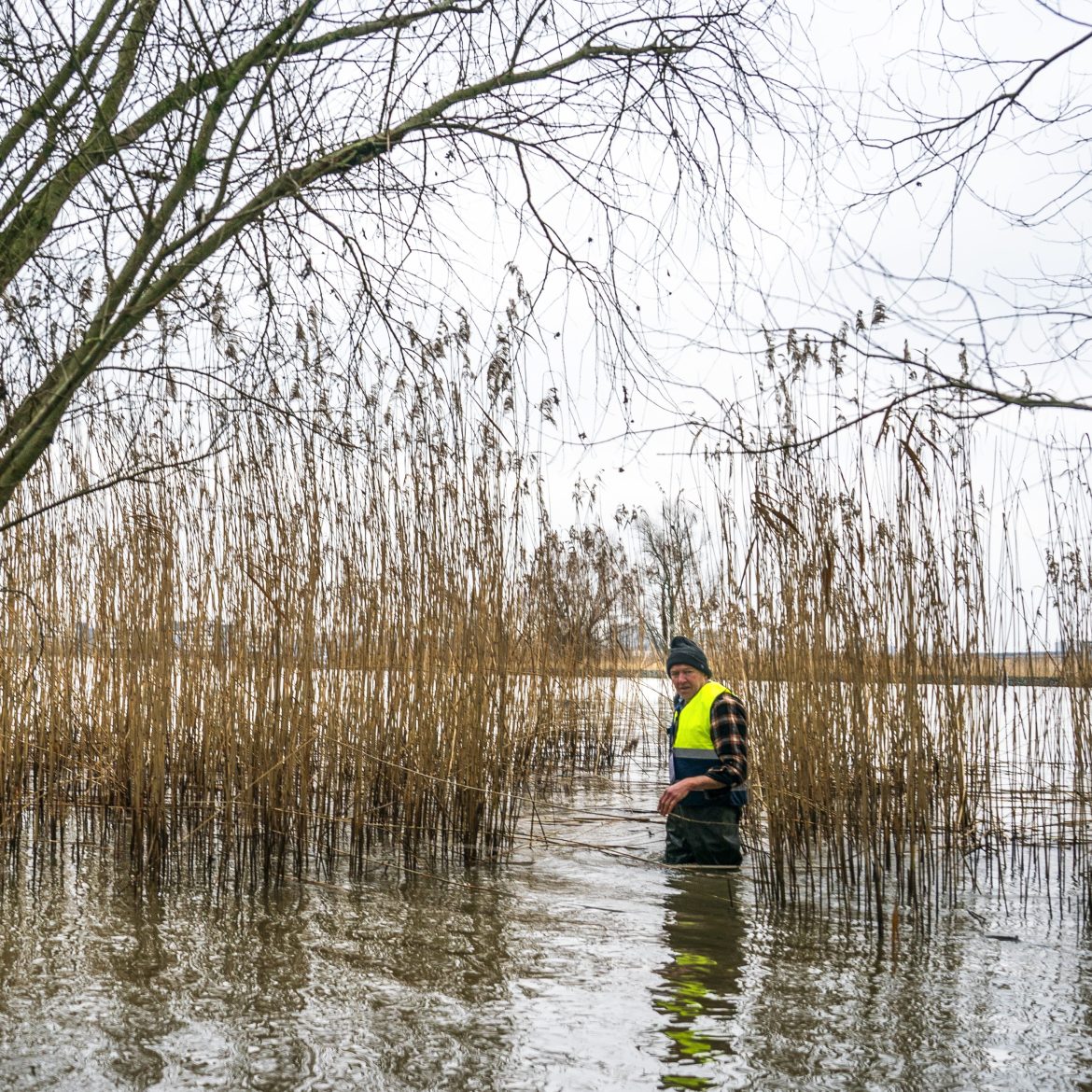 Yoran Krol zoekactie