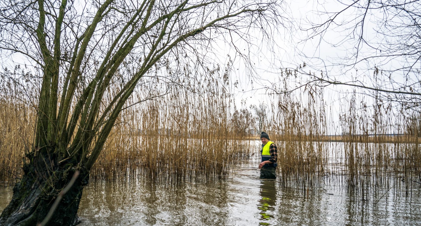 Yoran Krol zoekactie