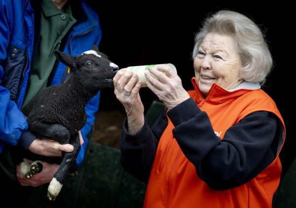 Prinses Beatrix helpt op kinderboerderij voor NLdoet