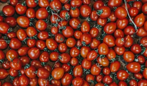 Pesticiden in snoepgroenten: '11 van de 20 voldoen niet aan norm'