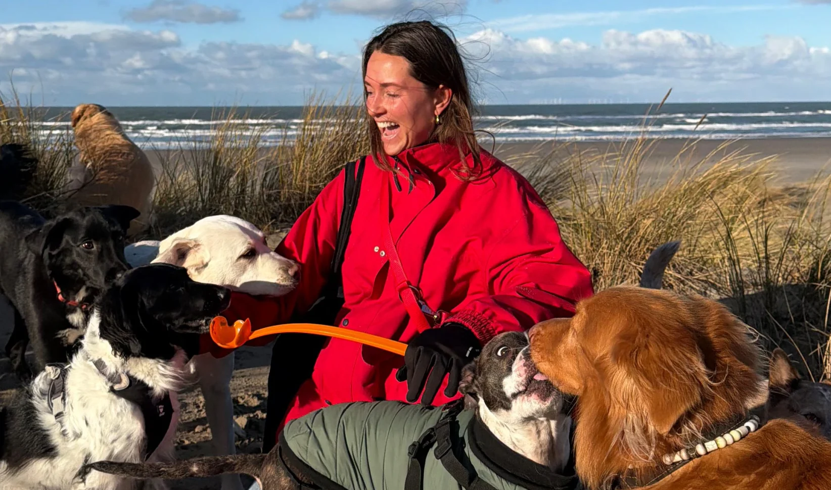 Babiche zegde haar baan op en begon een hondenuitlaatservice: 'Je kunt beter iets doen waar je écht blij van wordt'