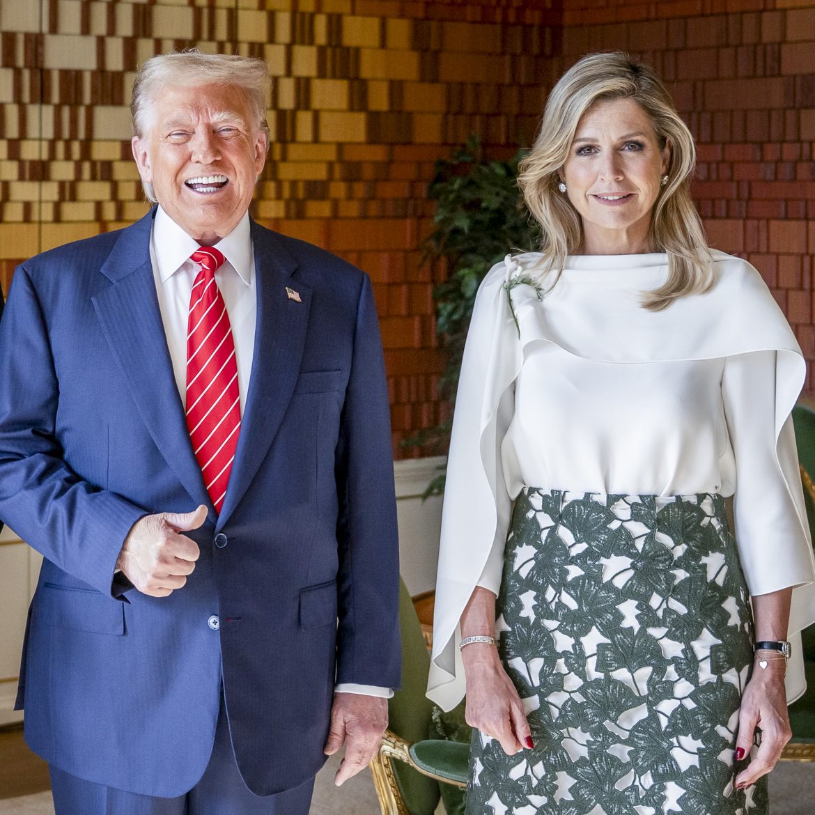 NAVO-TOP: Koning ontvangt Trump op audientie (Pool)