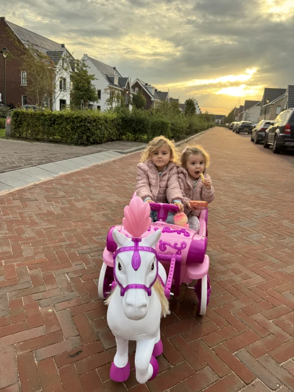 Danny Froger prinsessenkoets dochters