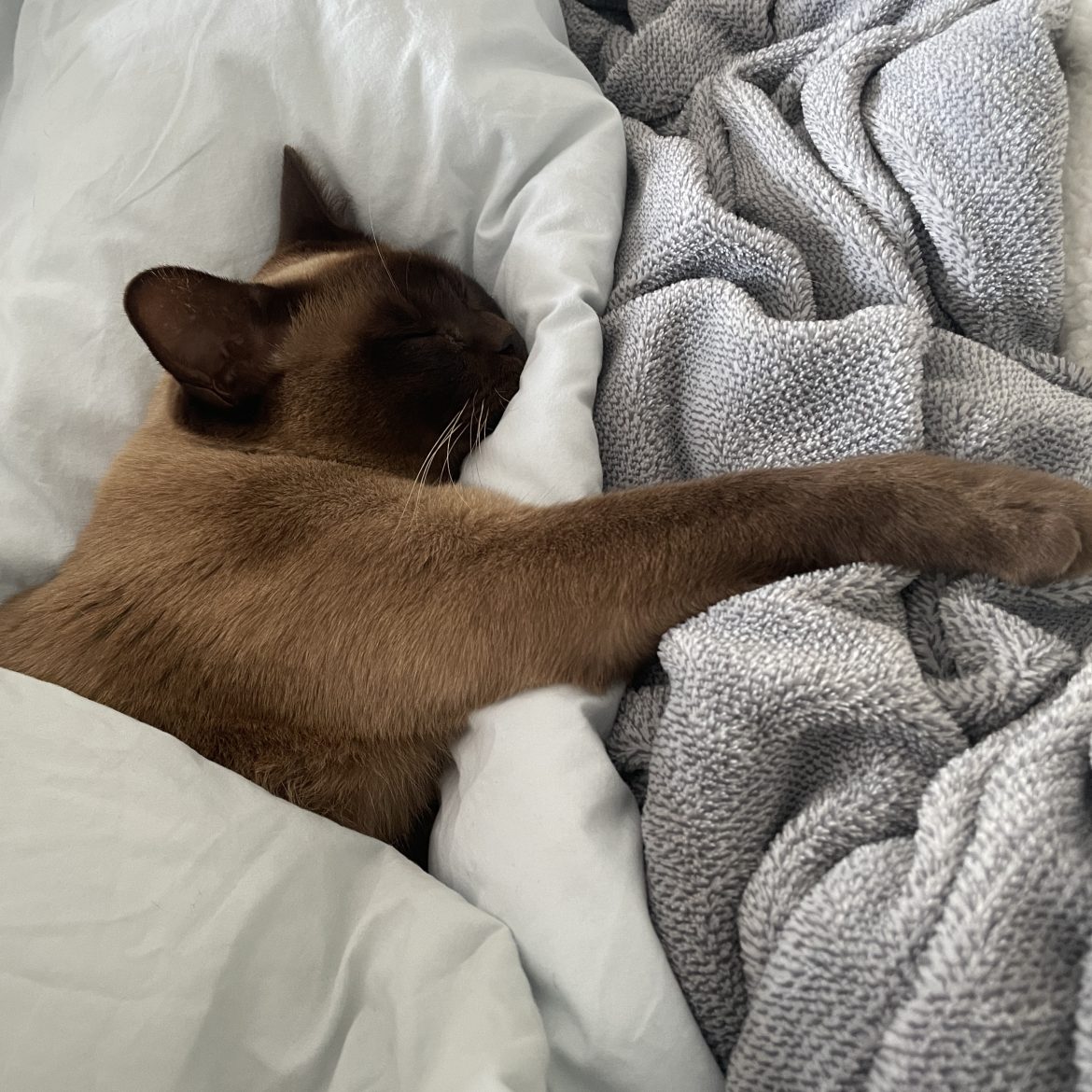 De zomertijd is ingegaan: zo kom je het snelst van deze mini 'jetlag' af