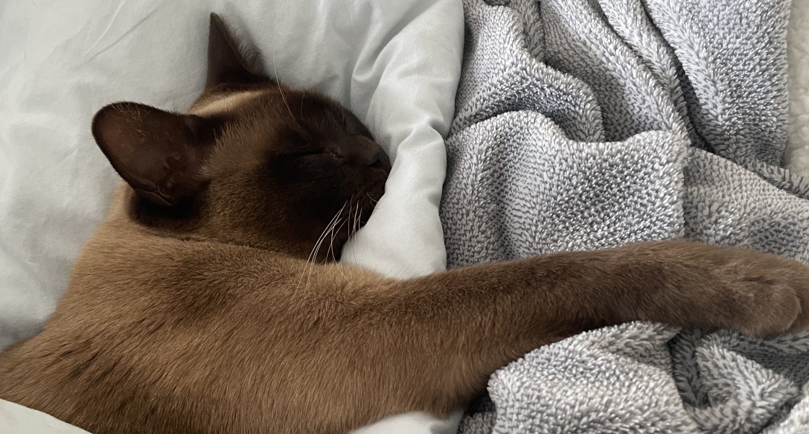 De zomertijd is ingegaan: zo kom je het snelst van deze mini 'jetlag' af