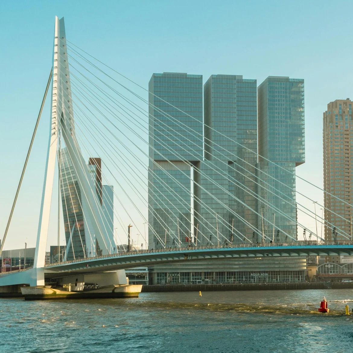 Raadslid Leefbaar Rotterdam uit partij gezet door bewerkte foto